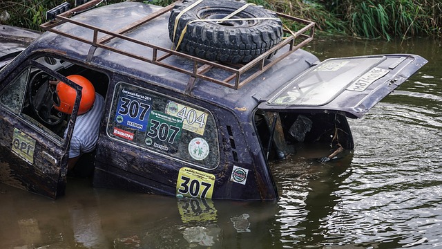 女子篮球联赛MVP候选名单公布